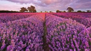 h-slide-b6_original_copy_1